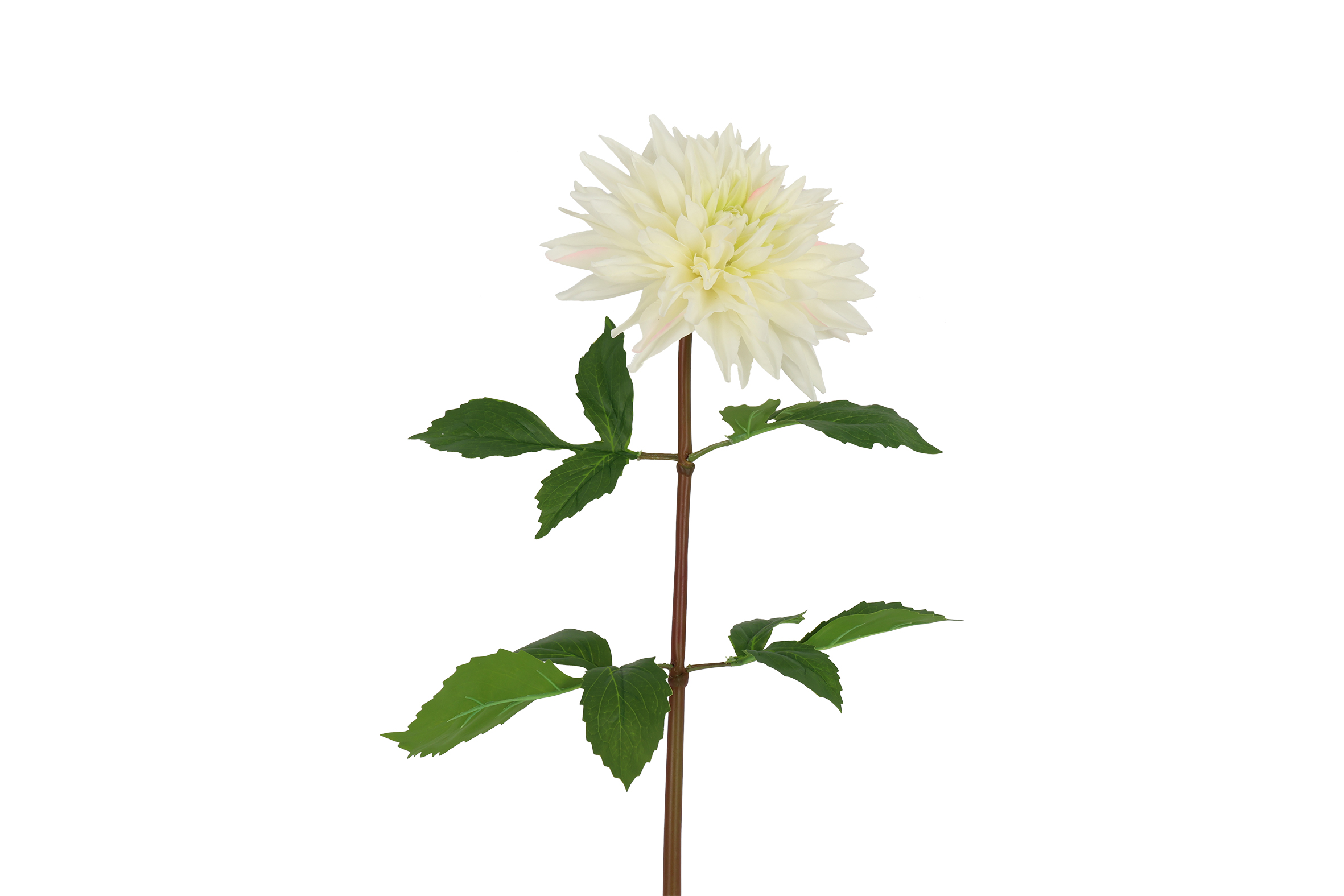 Art Flower Dahlia S White Gift