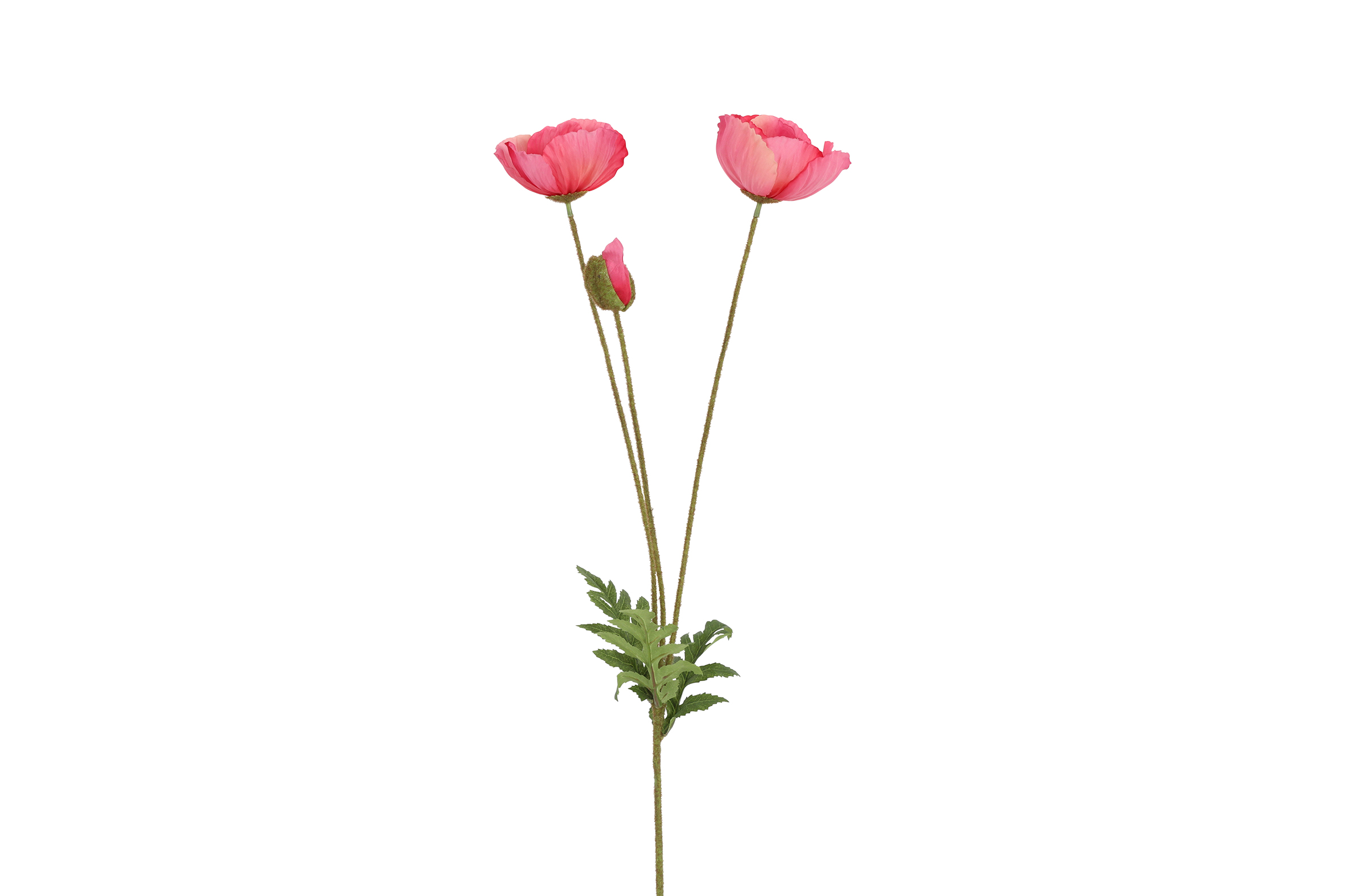 Art Flower Papaver D.pink Gift