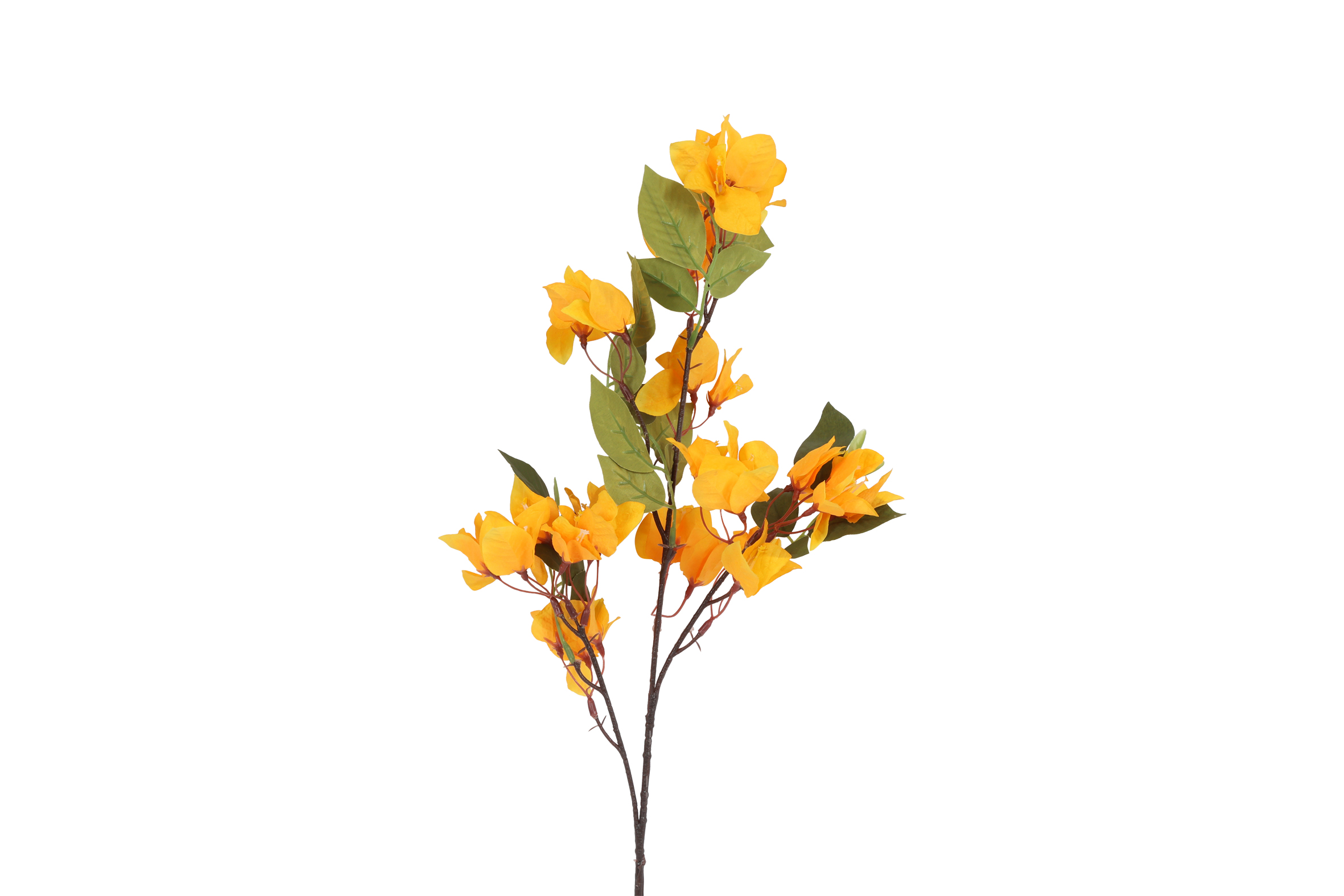 Art Flower Bougainvillea Yellow Gift