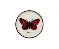 Edward Challinor Coaster Butterfly Pack 12 Gift