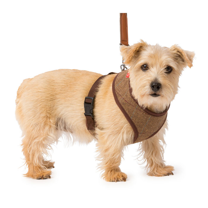 Hop Tweed Memory Foam Harness Brown Small Gift