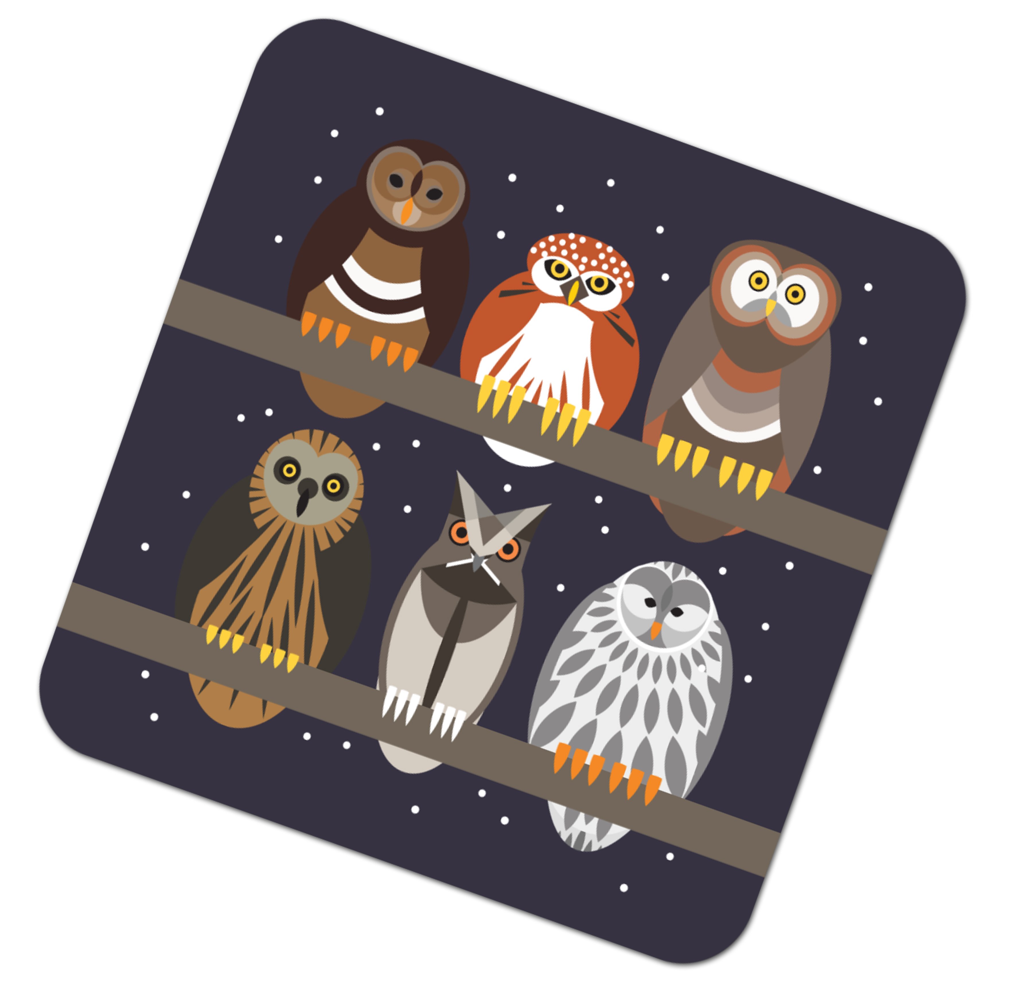 I Like Birds Placemat Owls Gift