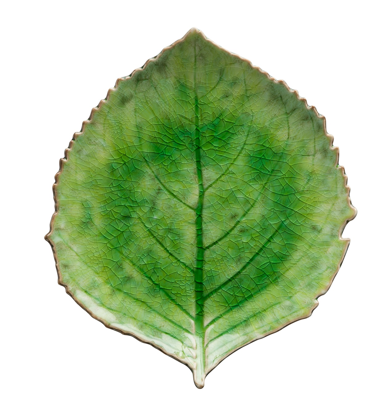 Riviera Tomate Hydrangea Leaf 22cm Gift