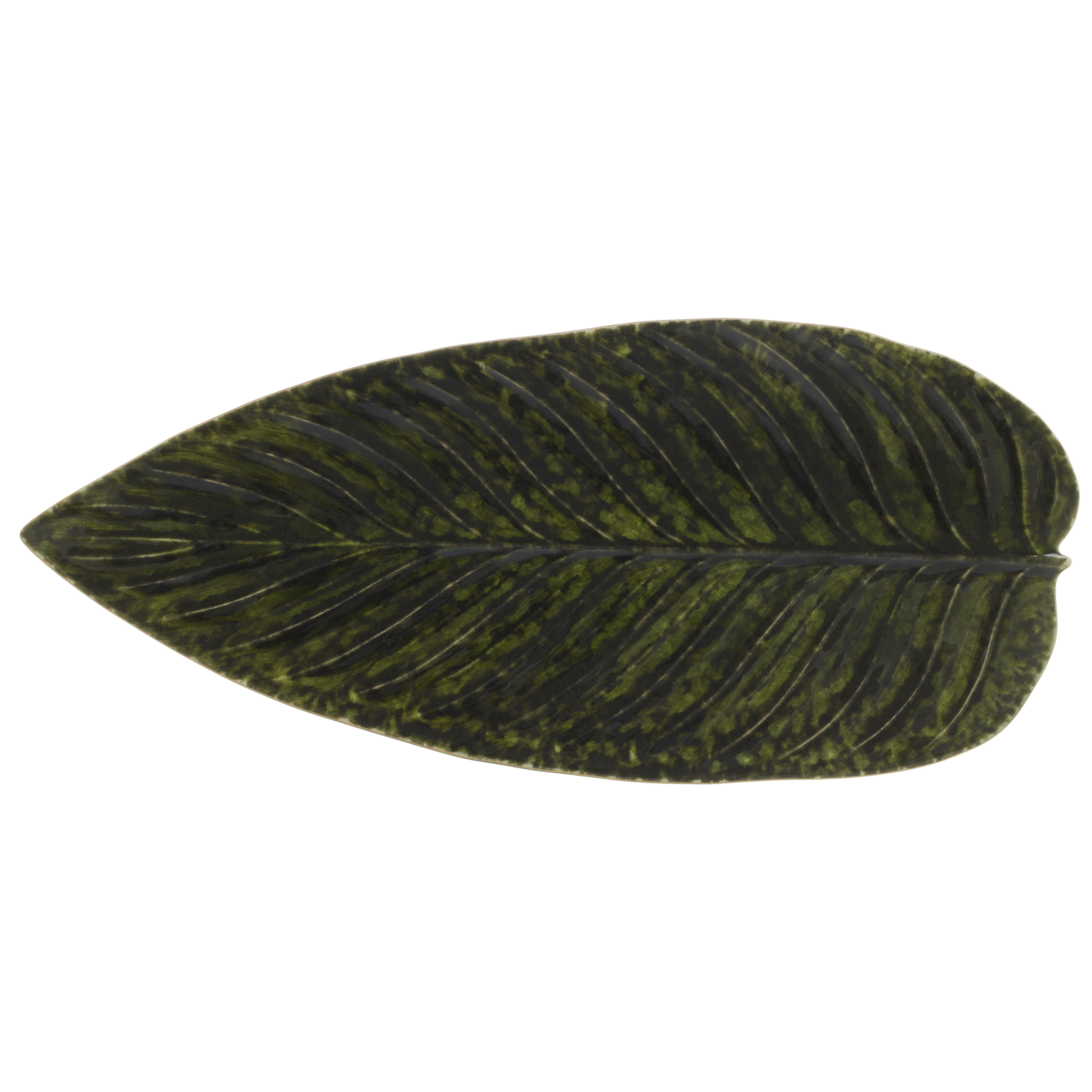 Riviera Forets Strelizia Leaf 39.8cm Gift