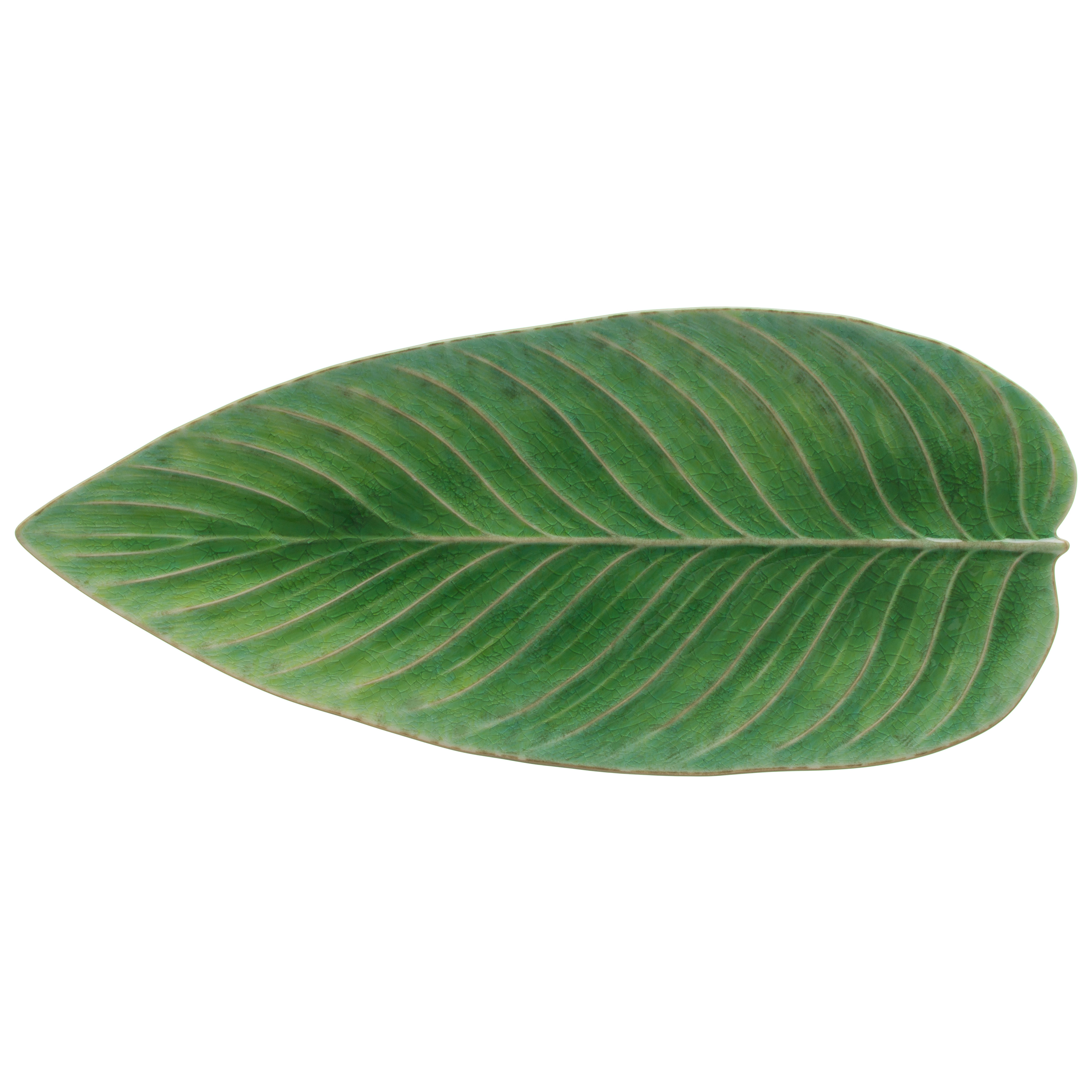 Riviera Tomate Strelizia Leaf 39.8cm Gift