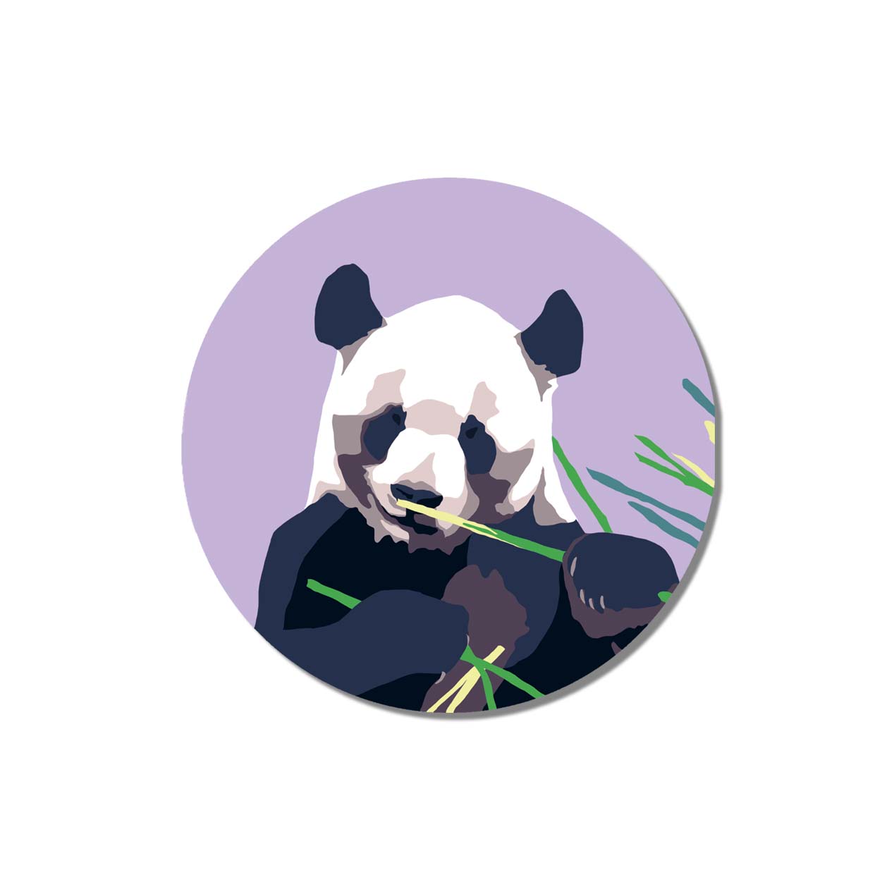 Emily Brooks Coasters Panda Gift