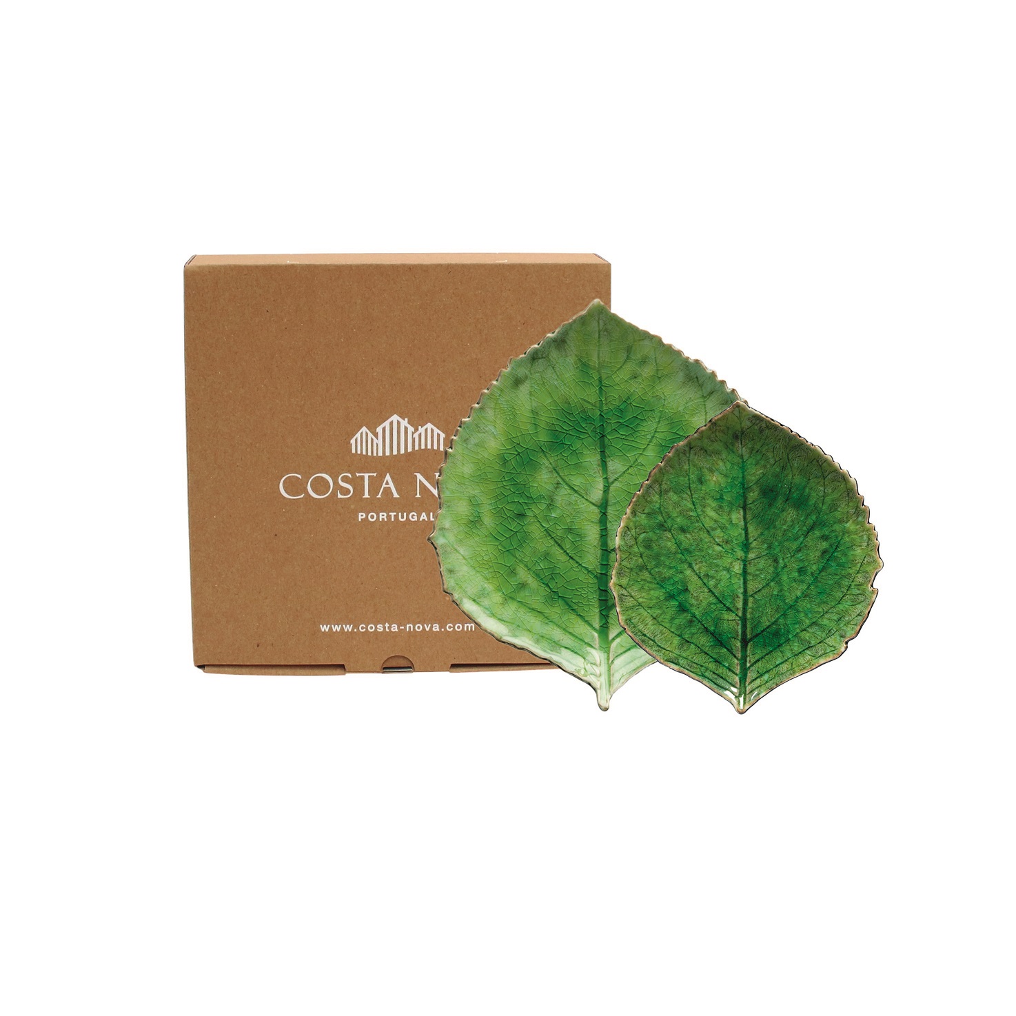 Costa Nova Gift Riviera Tomate Hydrangea Lvs 22/17 Gift