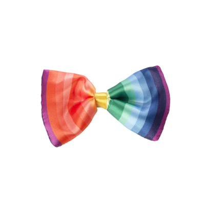 House Of Paws Rainbow Bow Tie Gift