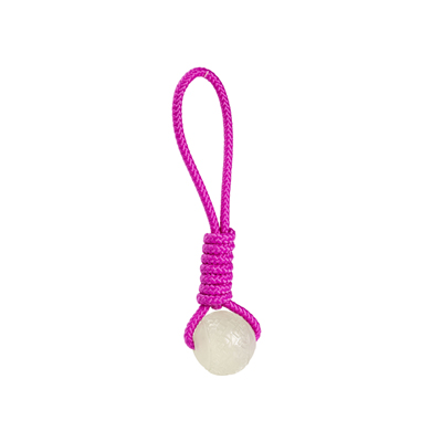 House Of Paws Pink Rope And Glow Ball Gift