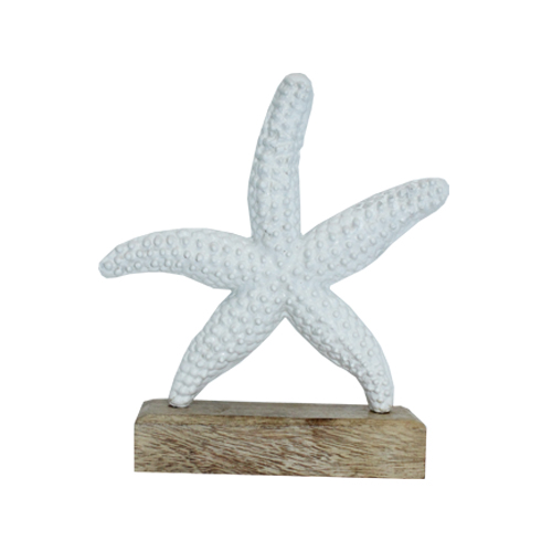 Starfish On Wooden Base 24x22x7.5cm Gift