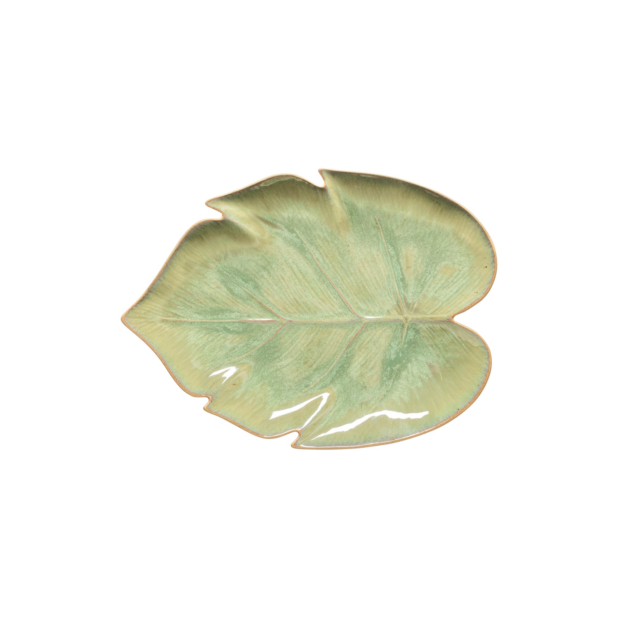 Marrakesh Eucalyptus Monstera Leaf 27cm Gift